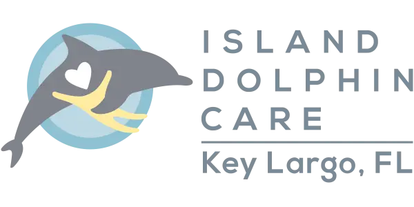 2025 BBFL Island Dolphin Care Sponsor Logo